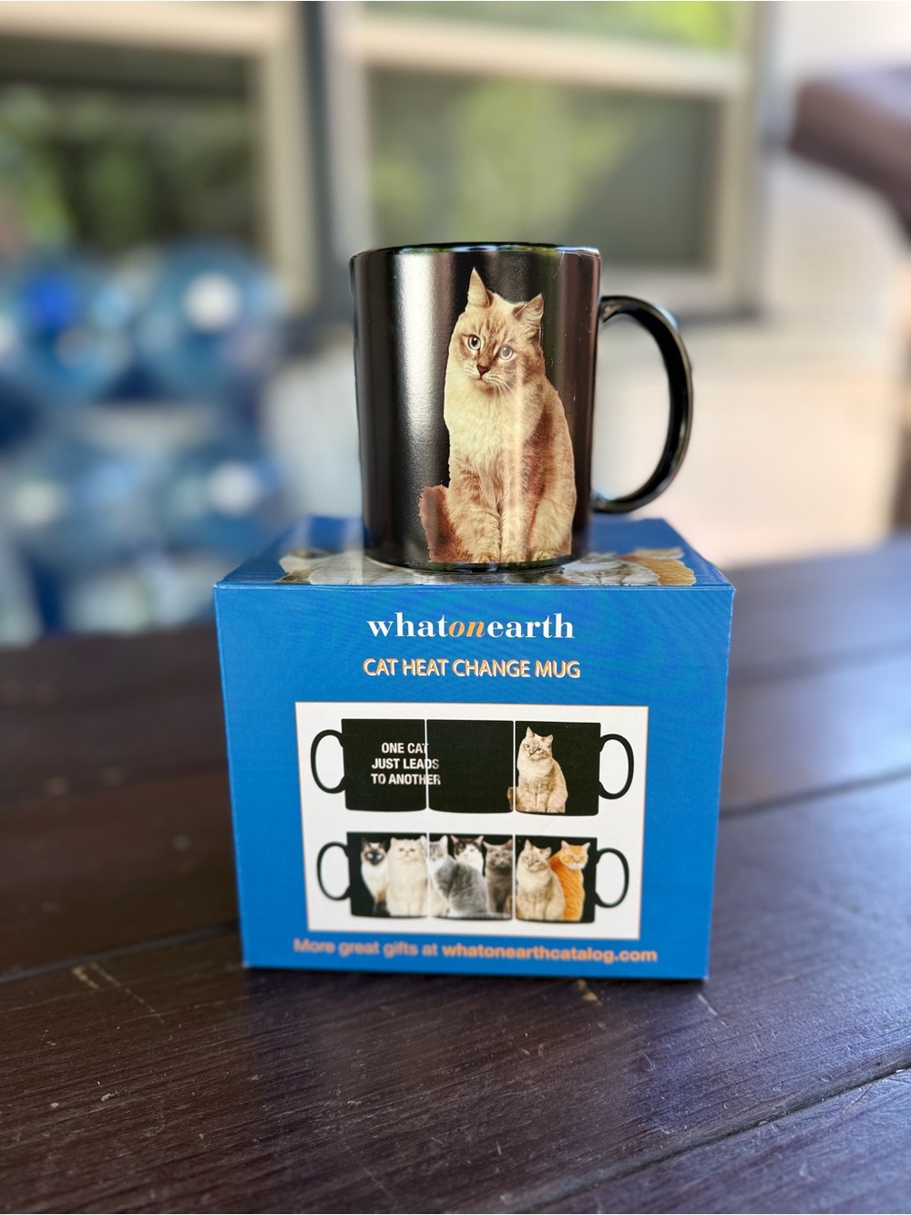 What on Earth Ceramic Cat Heat Change Mug "One Cat Just Leads To Another"